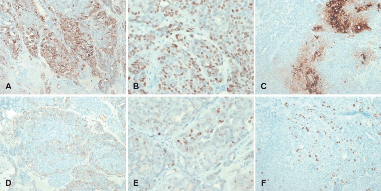 kjorl-hns-2019-00927f6.jpg