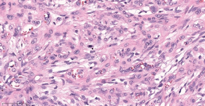 Fig. 6.