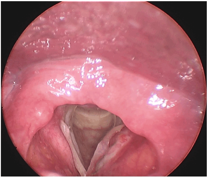 Fig. 5.